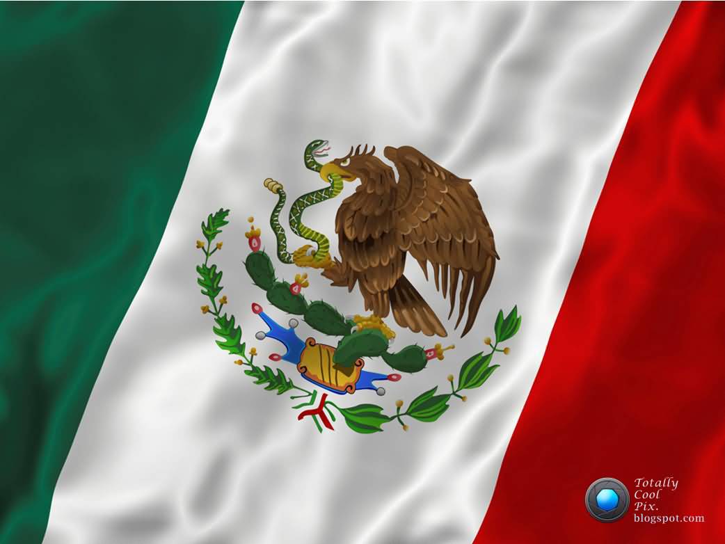 Mexican Independence Day Flag Picture