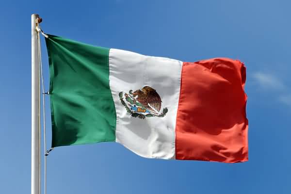 Mexico Independence Day Waving Flag Picture
