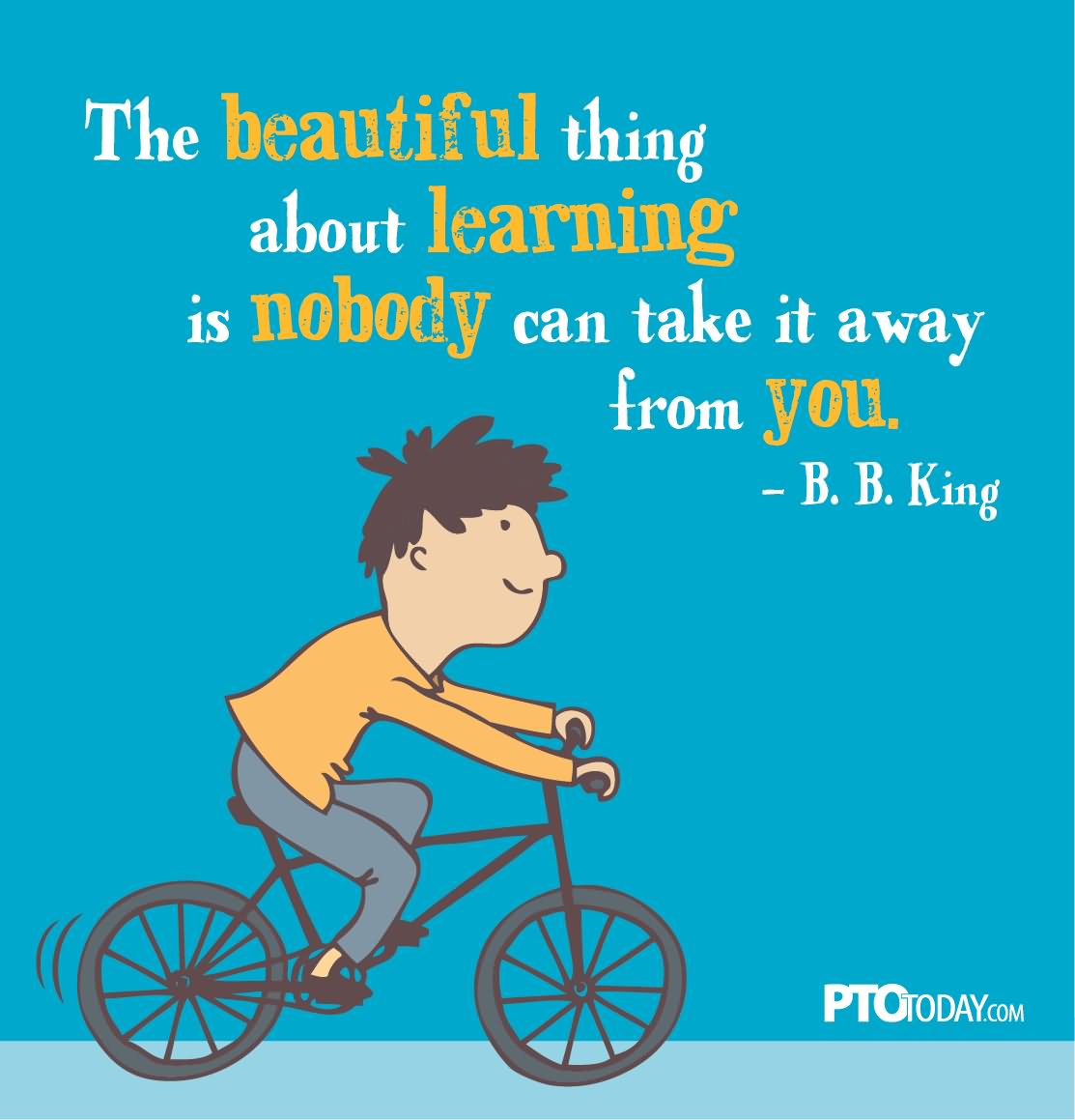 The beautiful thing about learning is nobody can take it away from you. - B. B. King