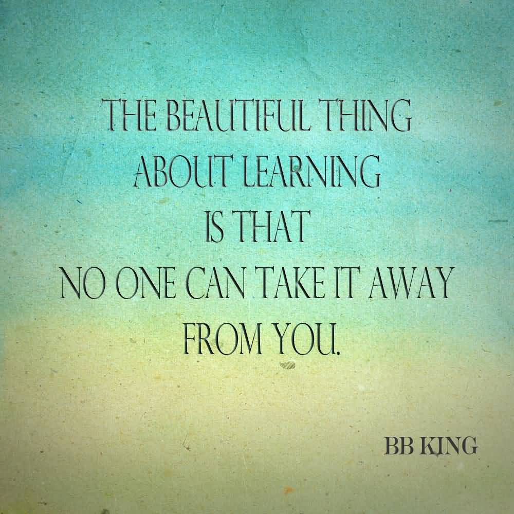 The beautiful thing about learning is nobody can take it away from you. - B. B. King