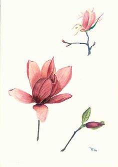 Watercolor Magnolia Tattoo Designs