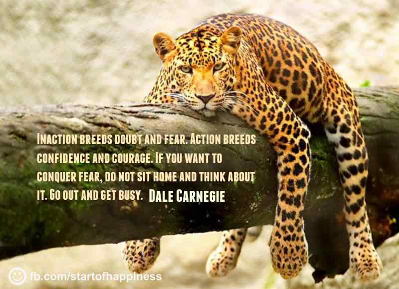 inaction breeds doubt and fear. Action breeds confidence and courage. If you want to conquer fear, do not sit home and think about it. Go out and get busy. - Dale Carnegie
