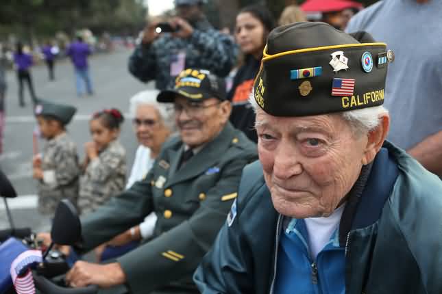 American Air Force Veteran Watching Veterans Day Parade In San Jose