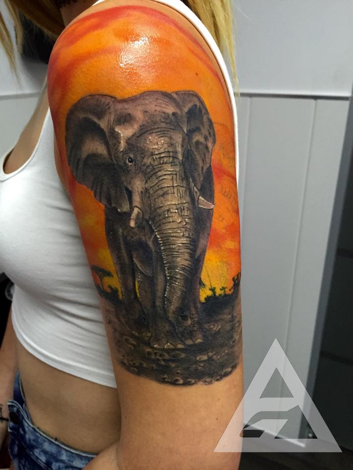 Beautiful Elephant Tattoo On Left Half Sleeve by Alex Gallo