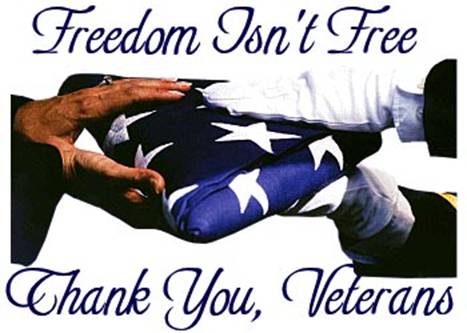 Freedom Isn't Free Thank You Veterans On Veterans Day