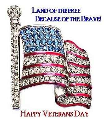 Land Of The Free Because Of The Brave Happy Veterans Day American Flag Of Diamonds Picture