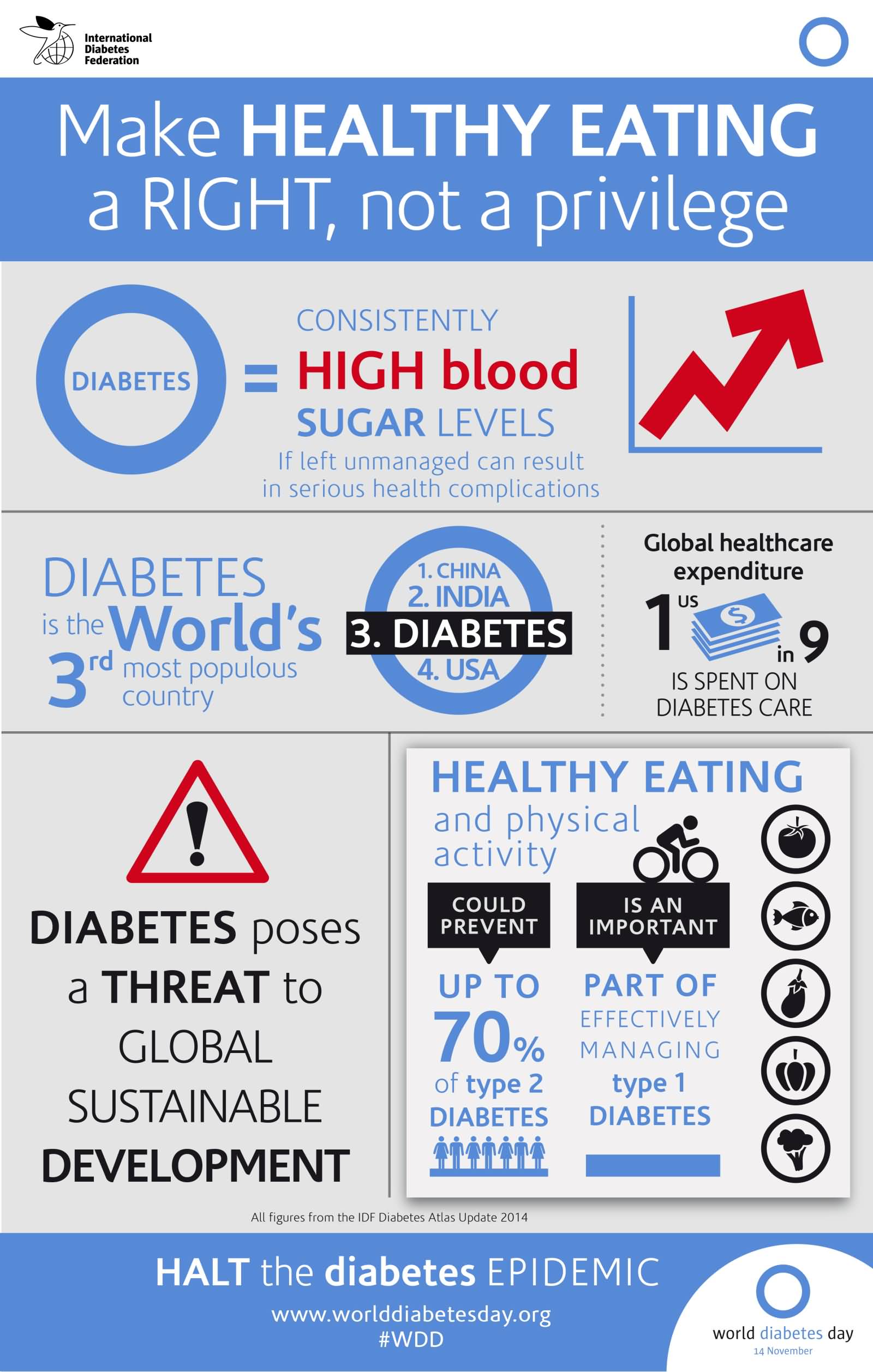 Make Healthy Eating A Right, Not A Privilege World Diabetes Day Poster
