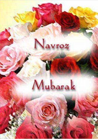 Navroz Mubarak Rose Flowers Picture