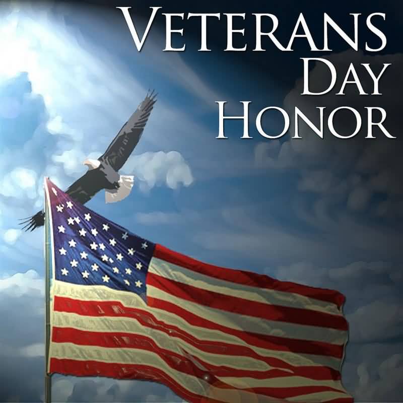 Veterans Day Honor Eagle And American Flag Illustration