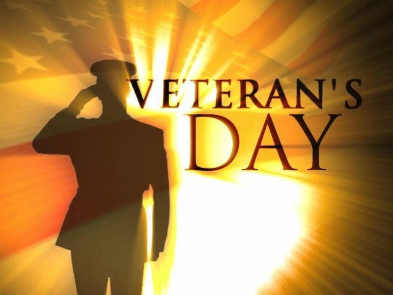 Veterans Day Saluting Army Man Picture