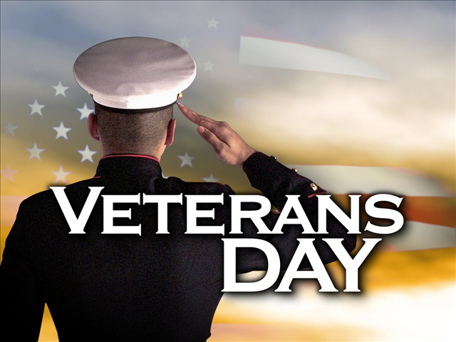 Veterans Day Saluting Army Man