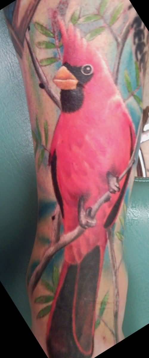 Amazing Cardinal Bird Tattoo On Leg Sleeve