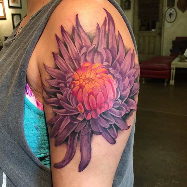 Amazing Colored Chrysanthemum Tattoo On Left Shoulder