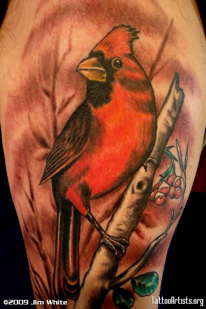 Awesome Cardinal Tattoo On Right Half Sleeve