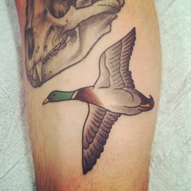 25+ Flying Duck Tattoos.