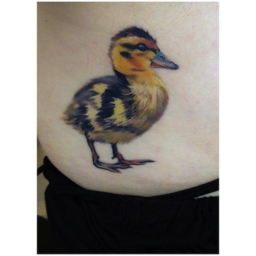Baby Duck Tattoo On Back Shoulder by Wachob