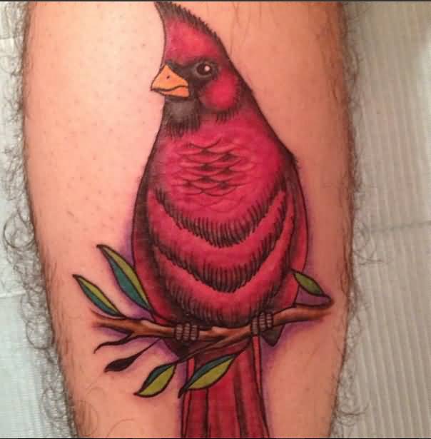 Beautiful Cardinal Bird Tattoo On Leg
