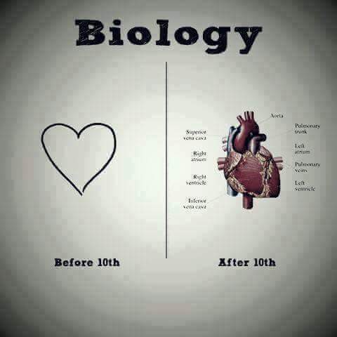 Biology in School and College