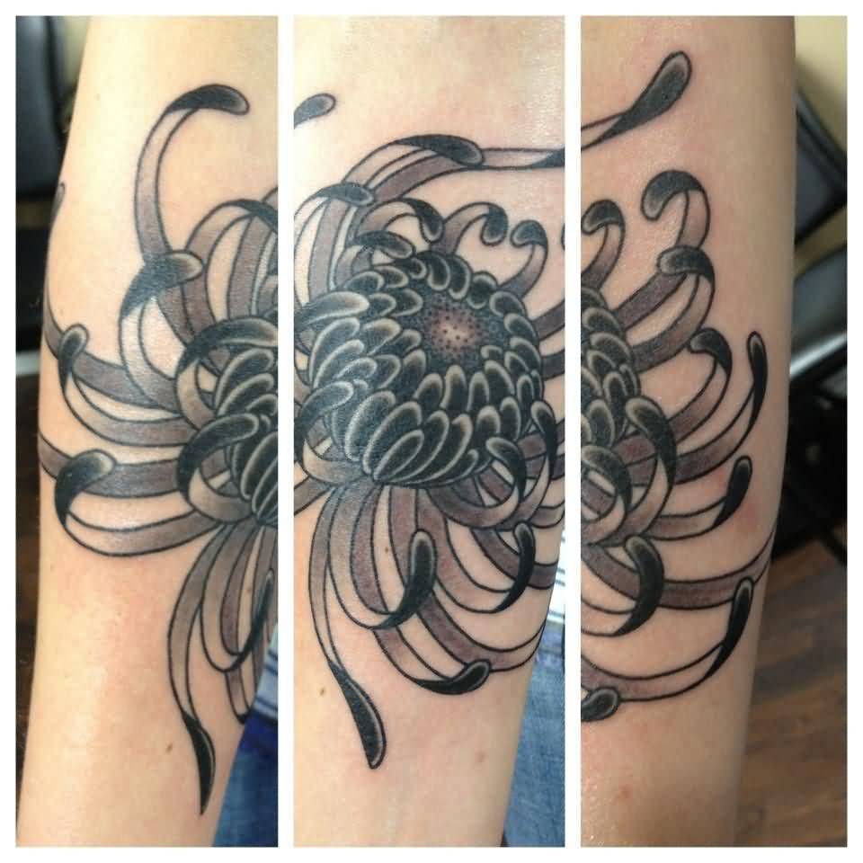 Black And Grey Chrysanthemum Tattoo On Full Sleeve