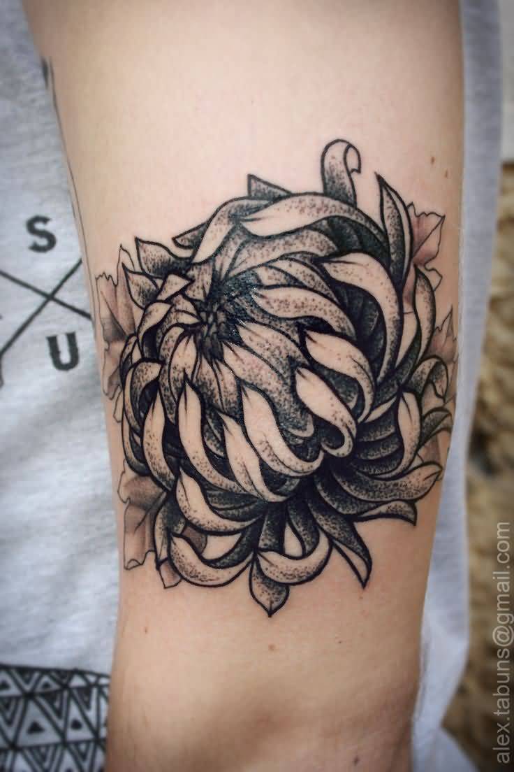 Black And Grey Dotwork Chrysanthemum Tattoo On Left Bicep