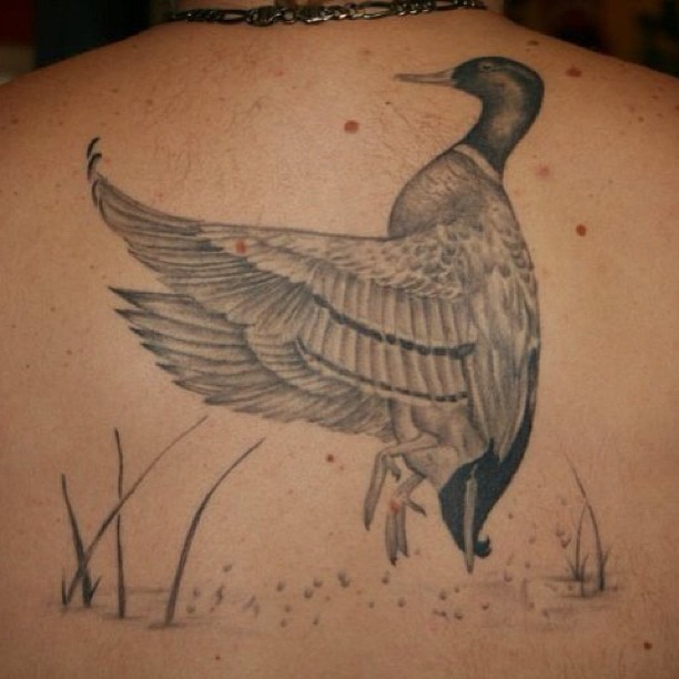 Black And Grey Duck Tattoo On Upper Back