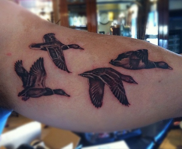 Black And Grey Flying Duck Tattoo On Bicep