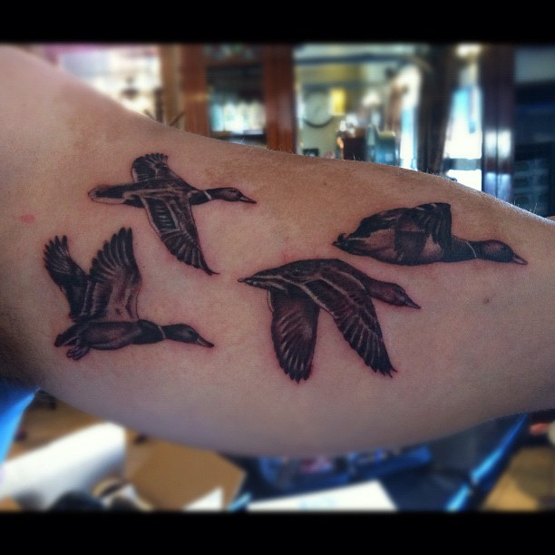 25+ Flying Duck Tattoos.