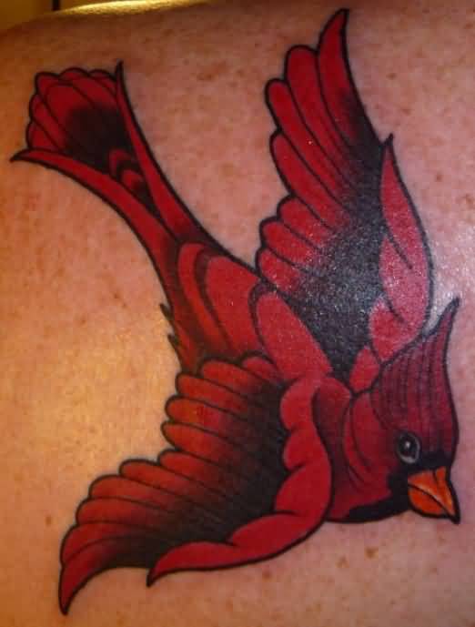 Black And Red Cardinal Tattoo On Left Back Shoulder