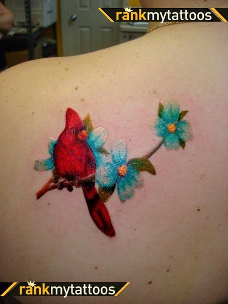 Blue Flowers And Cardinal Tattoo On Left Back Shoulder