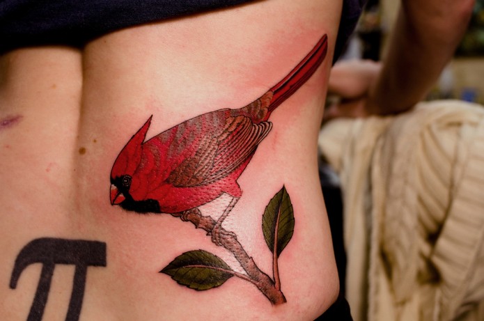 Cardinal Bird Tattoo On Lower Back