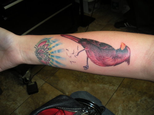 Cardinal Bird Tattoo On Right Forearm