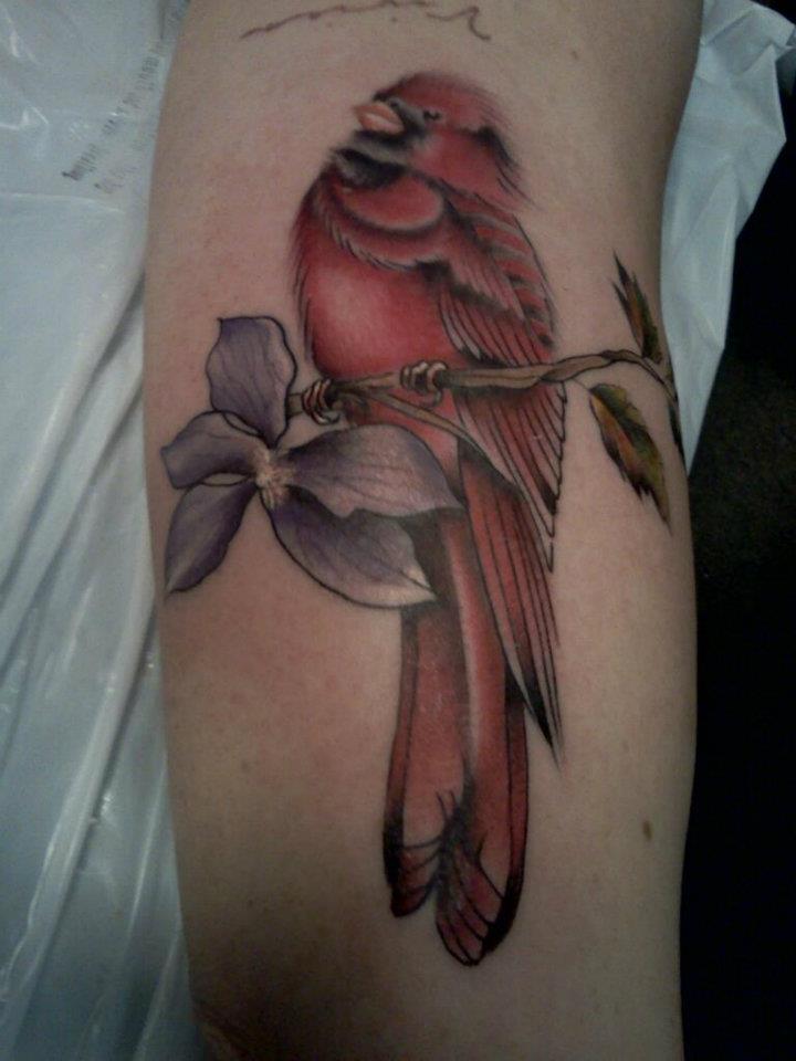 Cardinal Tattoo On Full Sleeve