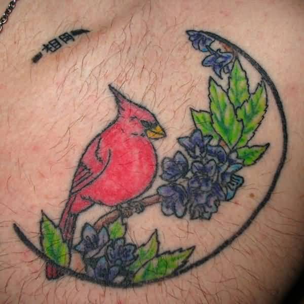 43+ Wonderful Cardinal Tattoos.