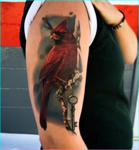 Cardinal Tattoo On Man Right Half Sleeve