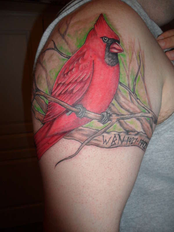 Cardinal Tattoo On Right Shoulder For Men
