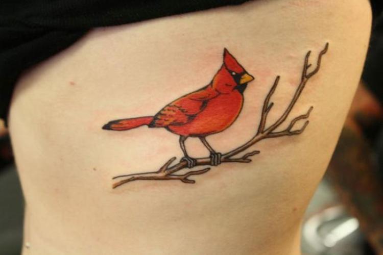 Cardinal Tattoo On Side Rib