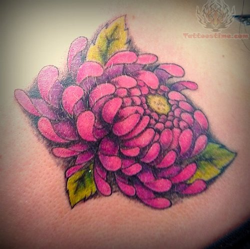 Chrysanthemum Flower Tattoo Design Picture