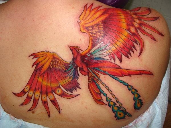 Colored Flying Phoenix Cardinal Tattoo