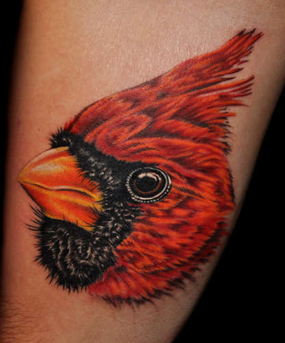 Cool Cardinal Head Tattoo