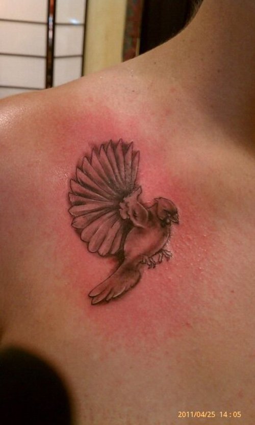 Flying Cardinal Tattoo On Front Shoulder