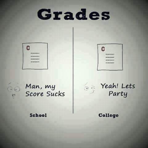 Grades Reaction  in School and College