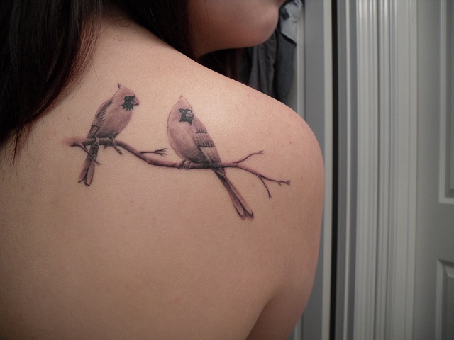 Grey Cardinal Tattoos On Girl Right Back Shoulder