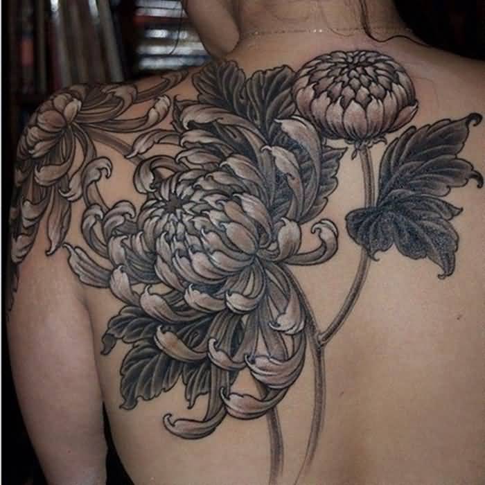 Grey Ink Chrysanthemum Tattoo On Girl Back Shoulder