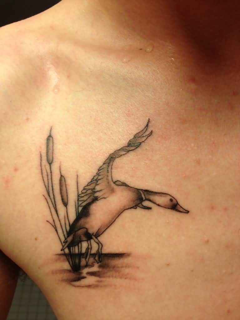 Grey Ink Duck Tattoo On Man Front Shoulder
