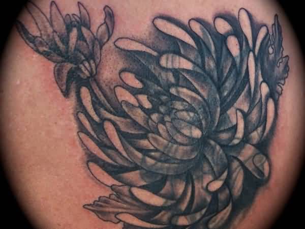Grey Ink Spider And Chrysanthemum Tattoo