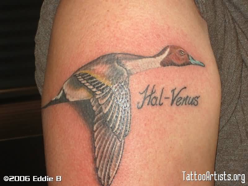 Hal Venus Duck Tattoo On Right Shoulder
