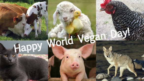 Happy World Vegan Day Animals Picture