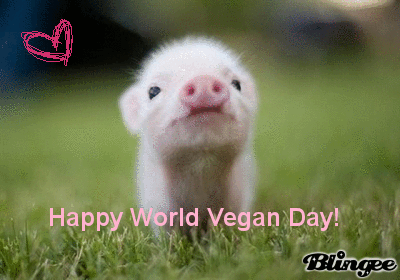 Happy World Vegan Day Cute Little Pig Heart Animated Picture