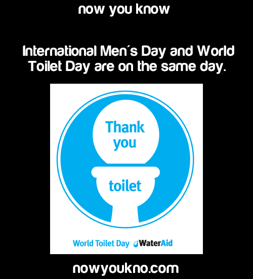 International Men's Day And World Toilet Day Are On The Same Day
