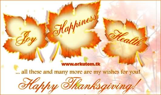 Joy, Happiness, Health All These And Many More Are My Wishes For You Happy Thanksgiving
